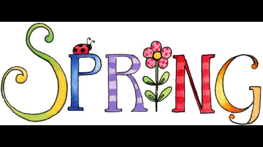 Spring Camp 2019 - spring-camp-2019