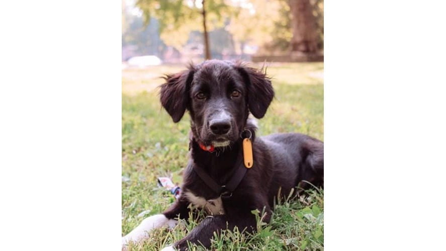 received_486418352272047