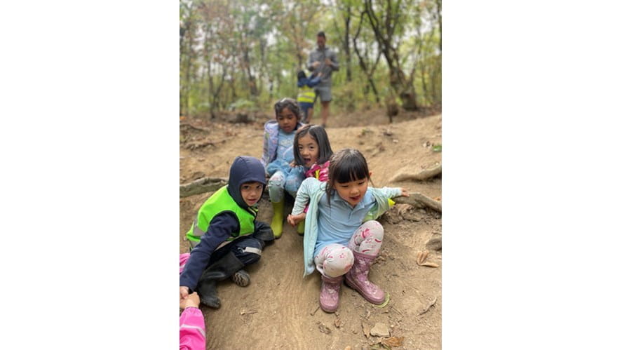 Forest activity 3