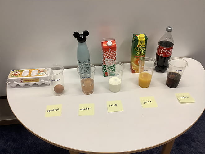 Year 2 Egg Experiment - Carousel For News Detail