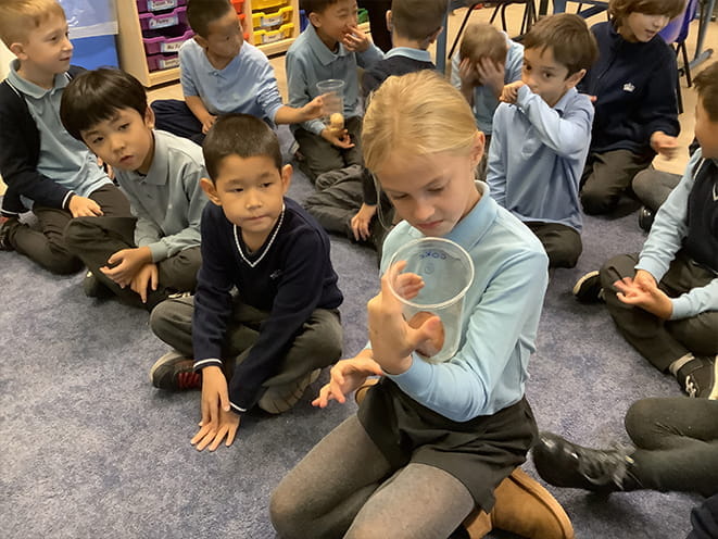 Year 2 Egg Experiment - Carousel For News Detail