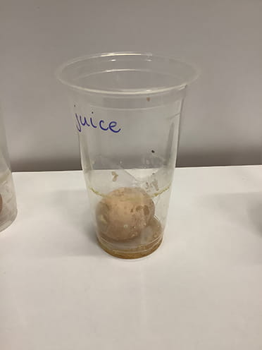 Year 2 Egg Experiment - Carousel For News Detail