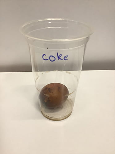 Year 2 Egg Experiment - Carousel For News Detail