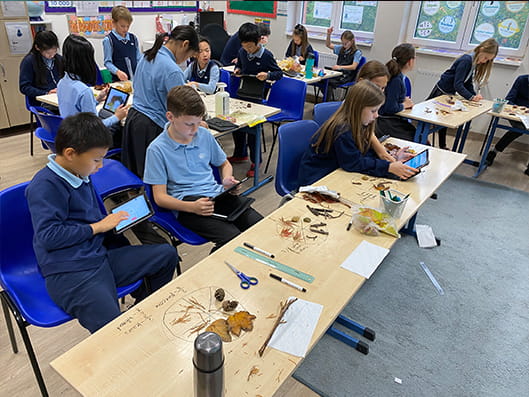 Primary Maths Week - Carousel For News Detail