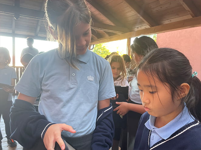 YES Project - Carousel For News Detail