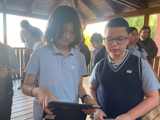 YES Project - Carousel For News Detail