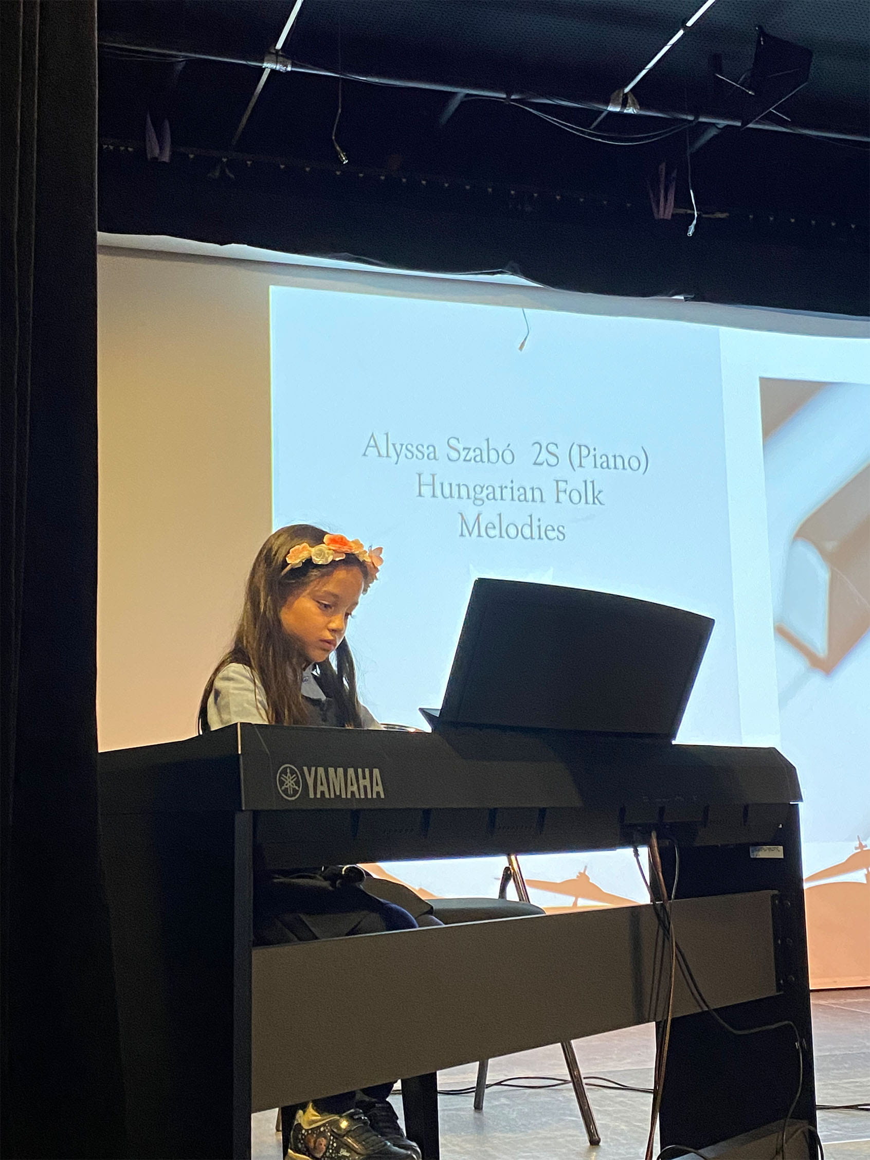 Instrumental concerts