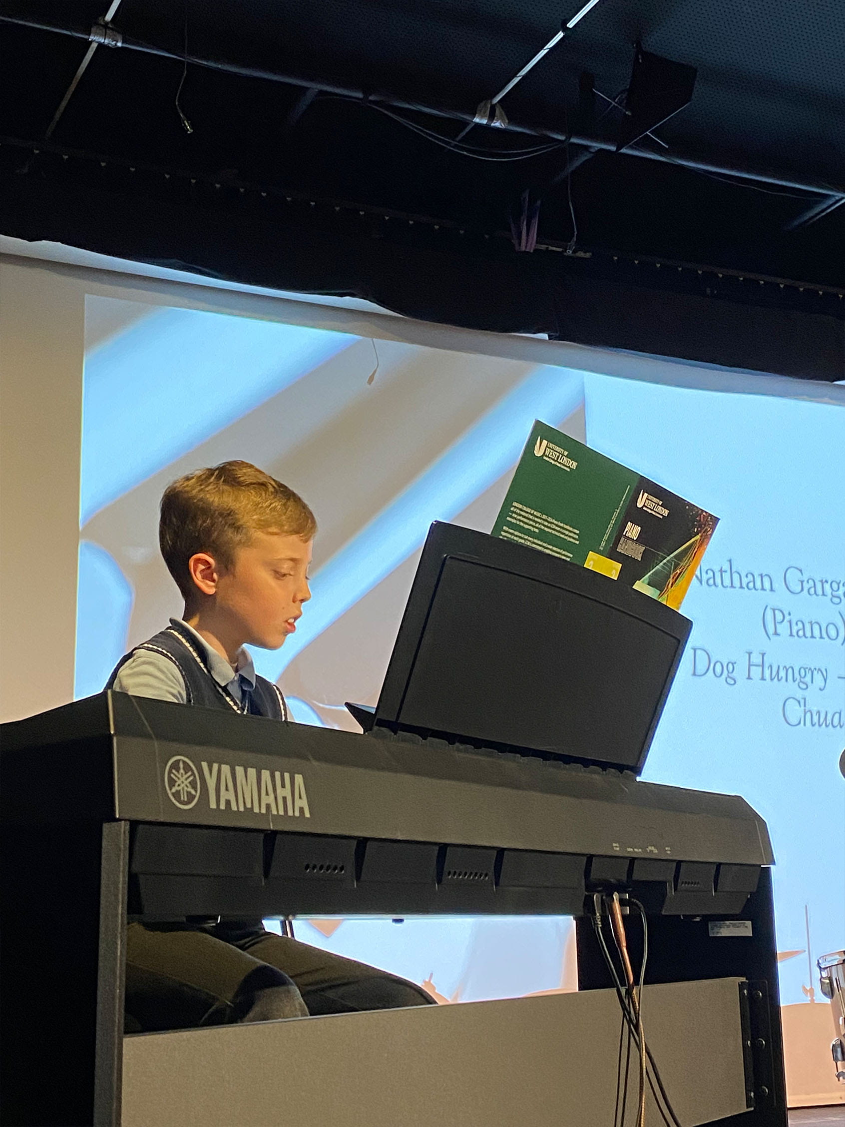 Instrumental concerts