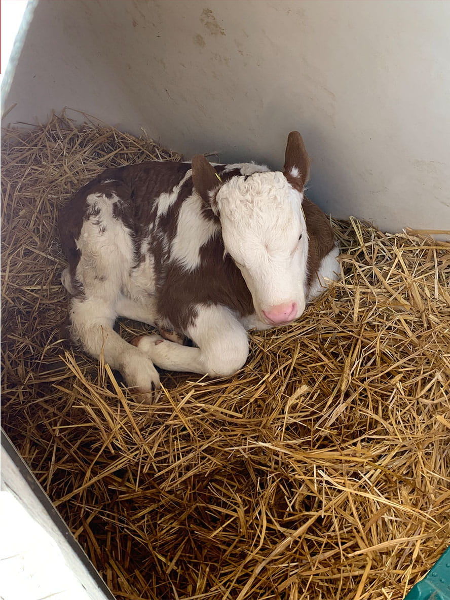 Breier Farm Visit - Carousel For News Detail