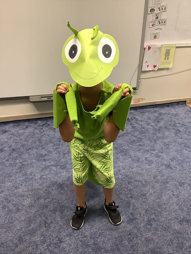 World Insect Appreciation Day - Carousel For News Detail