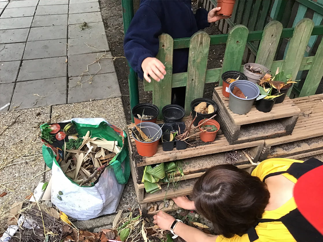 World Insect Appreciation Day - Carousel For News Detail