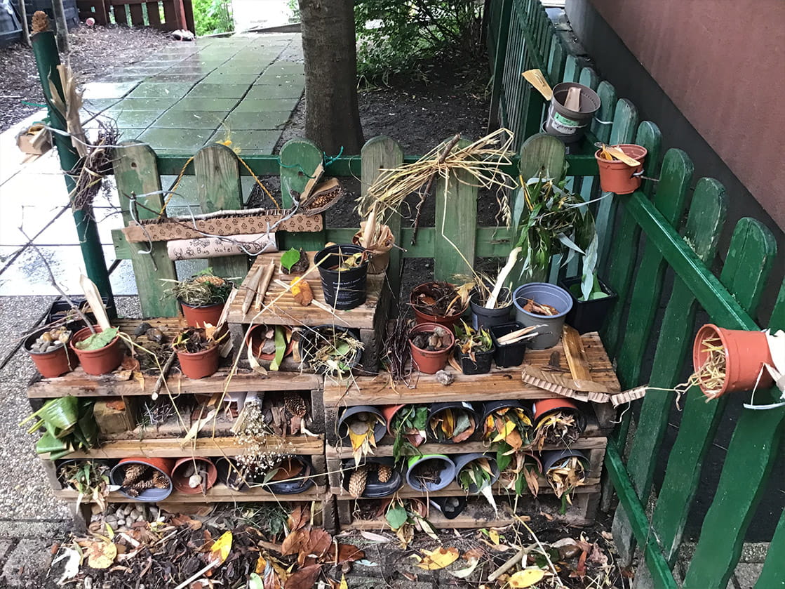 World Insect Appreciation Day - Carousel For News Detail