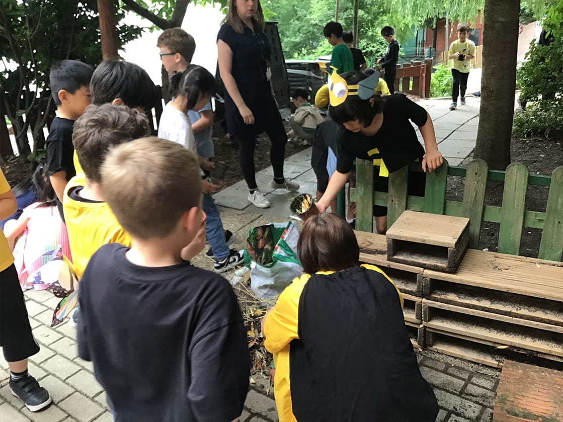 World Insect Appreciation Day - Carousel For News Detail