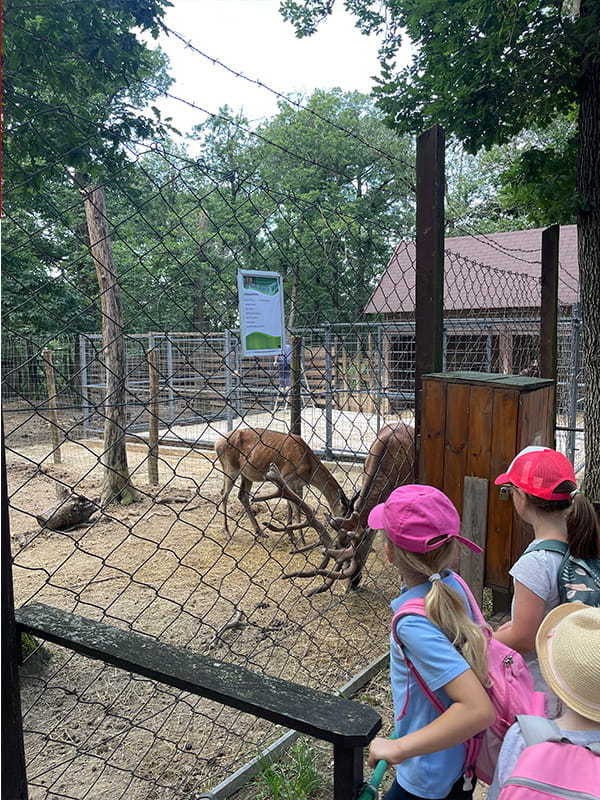 Budakeszi Wildlife Park Visit - Carousel For News Detail