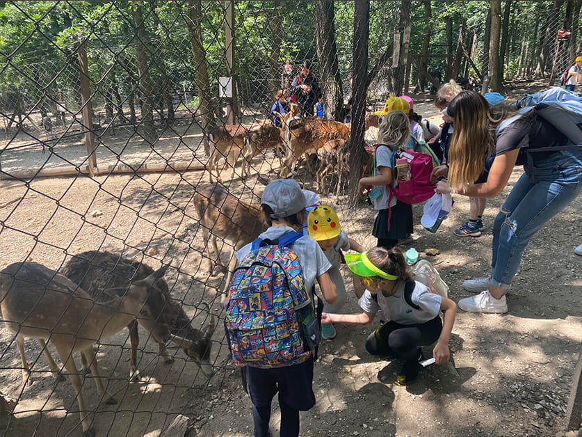 Budakeszi Wildlife Park Visit - Carousel For News Detail