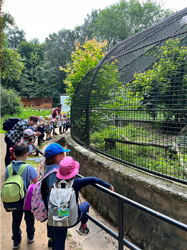 Budakeszi Wildlife Park Visit - Carousel For News Detail