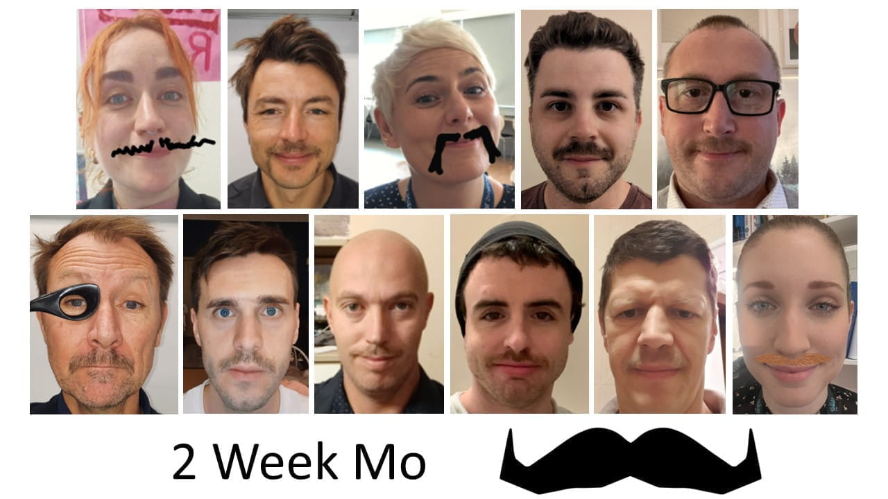Movember - Movember