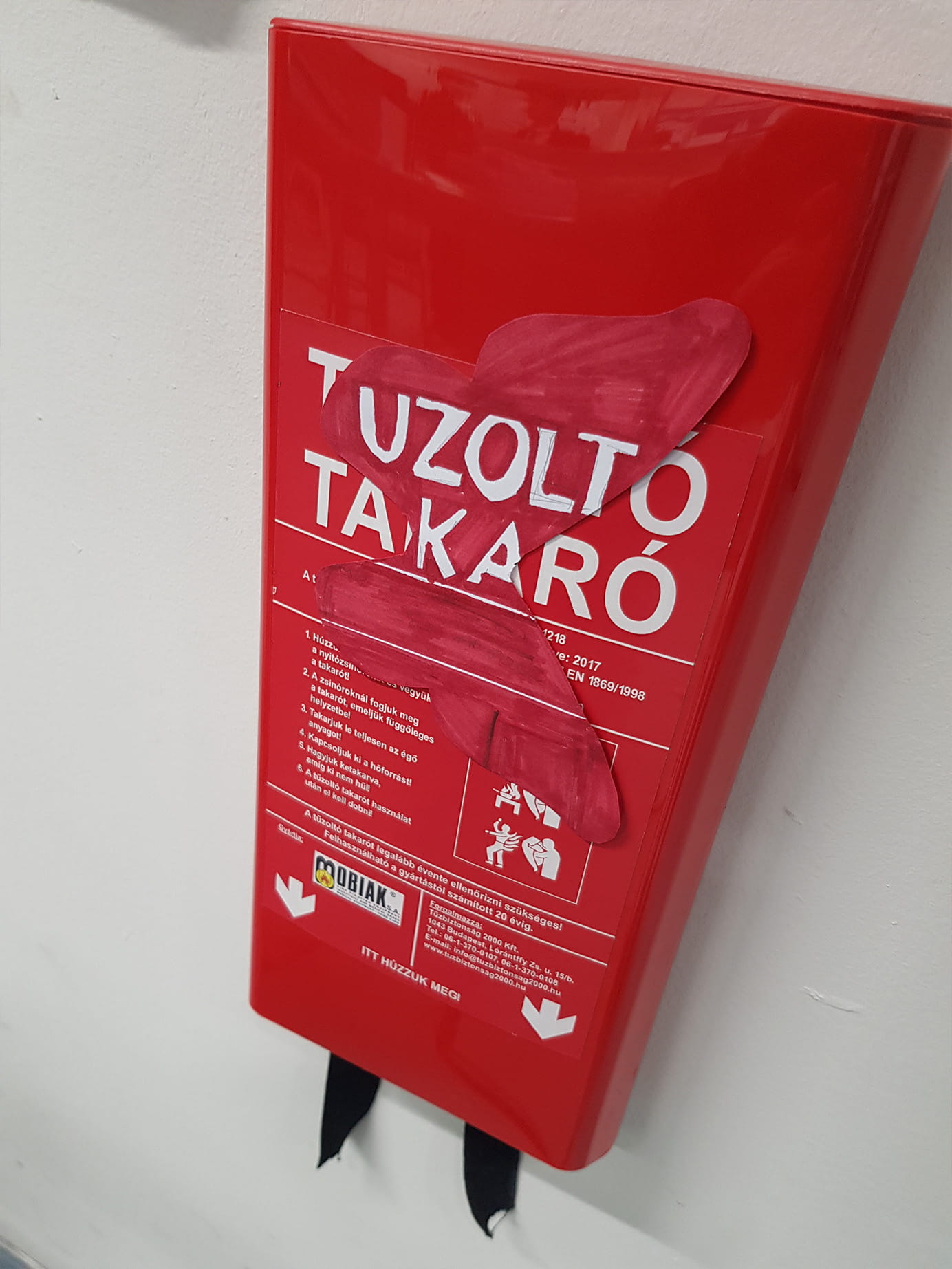 Can you find the four butterflies in this picture - Carousel For News Detail