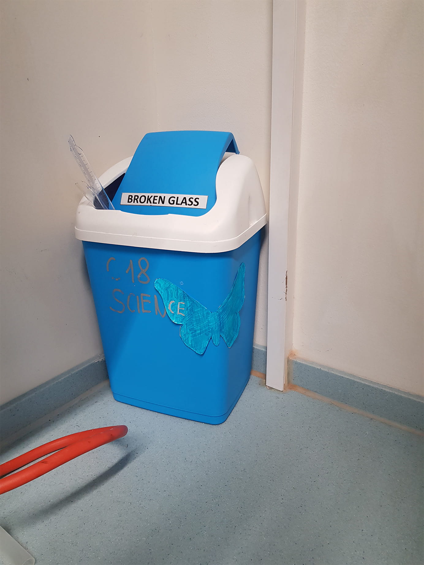 Can you find the four butterflies in this picture - Carousel For News Detail