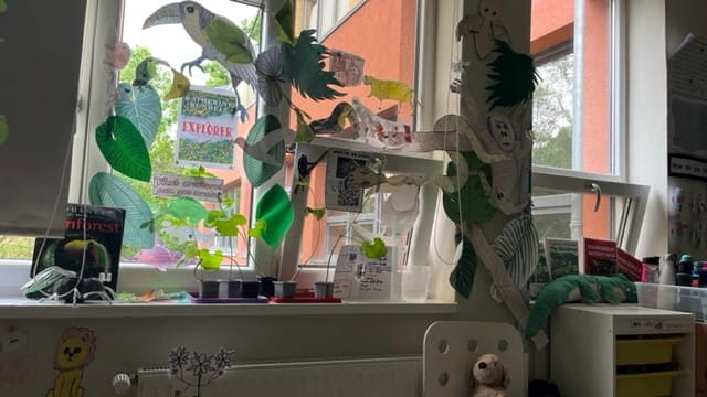 Year 4 Heather Rainforest - Carousel For News Detail