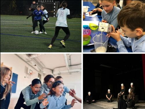 The CCA Scene - The CCA Scene