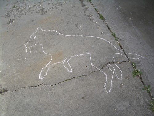 The Curious Incident of the Dog in the Night-time - The Curious Incident of the Dog in the Night-time