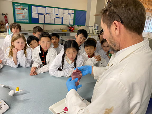 Getting To The Heart Of The Matter | BISB - Carousel For News Detail