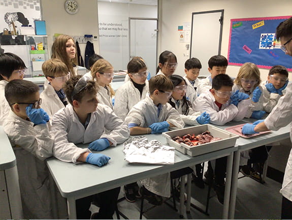 Getting To The Heart Of The Matter | BISB - Carousel For News Detail