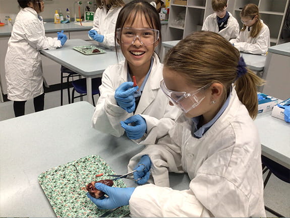 Getting To The Heart Of The Matter | BISB - Carousel For News Detail