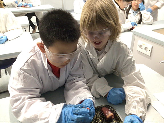 Getting To The Heart Of The Matter | BISB - Carousel For News Detail