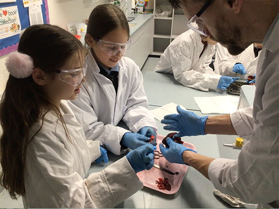 Getting To The Heart Of The Matter | BISB - Carousel For News Detail