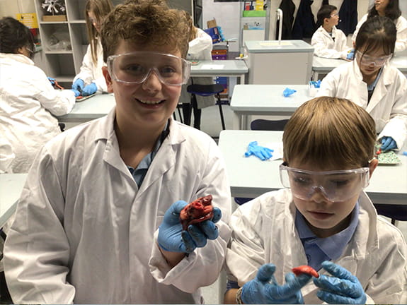 Getting To The Heart Of The Matter | BISB - Carousel For News Detail