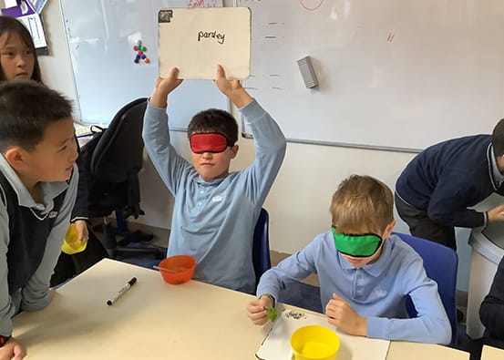 Year 5 Blind Taste Testing - Carousel For News Detail