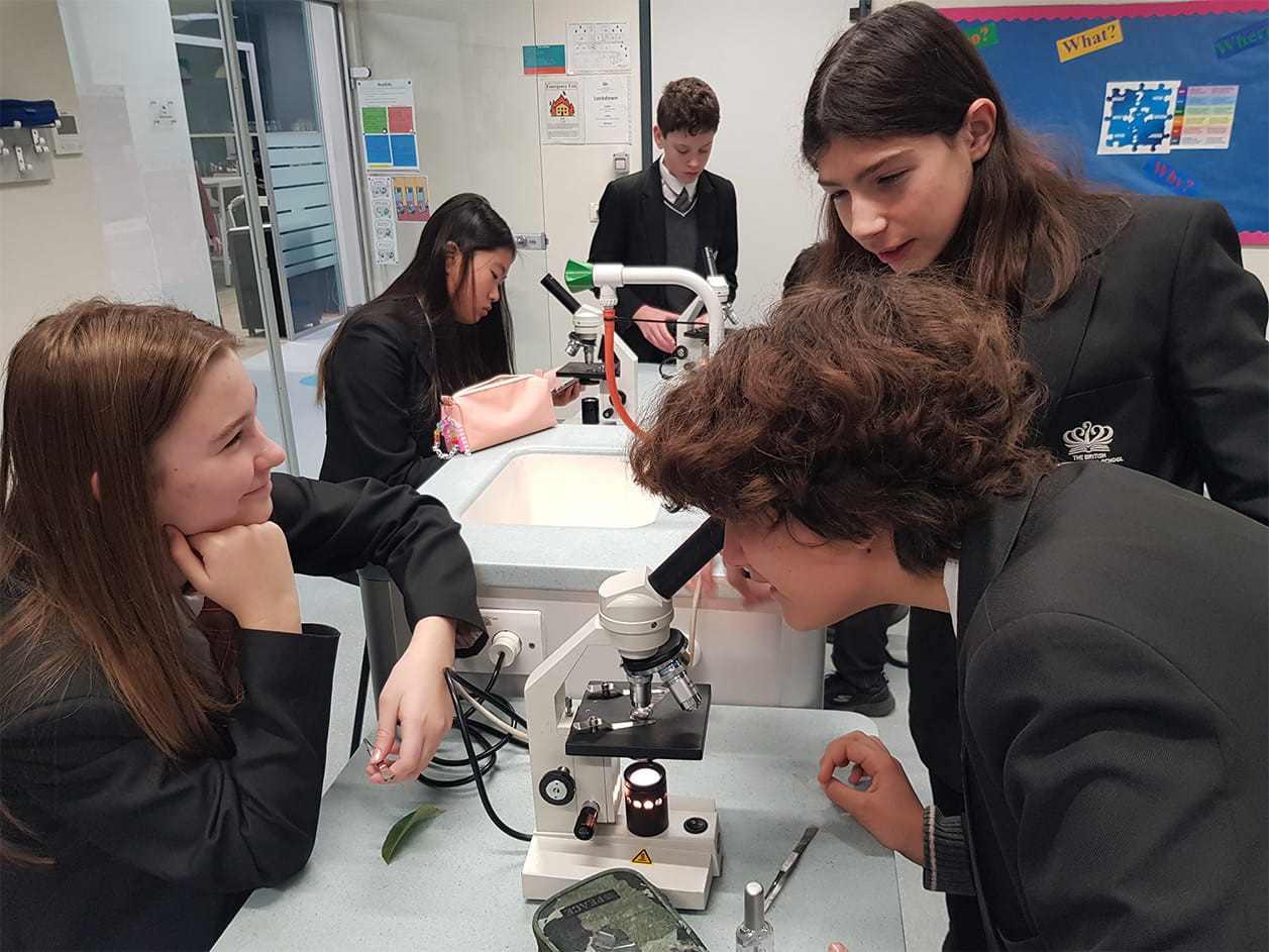 Year 9 Learning About Plants - Carousel For News Detail