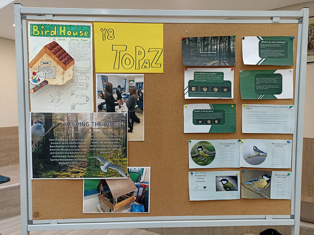 Year 8 Service Learning Action Week - Carousel For News Detail