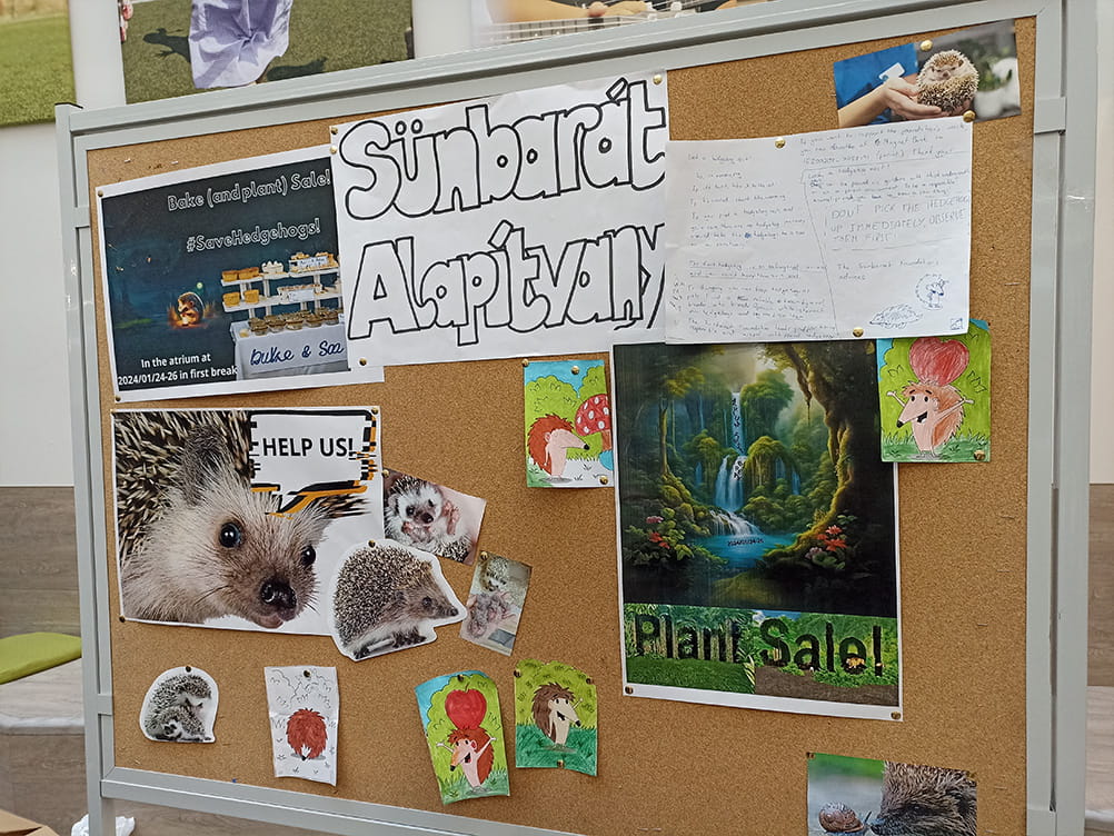 Year 8 Service Learning Action Week - Carousel For News Detail