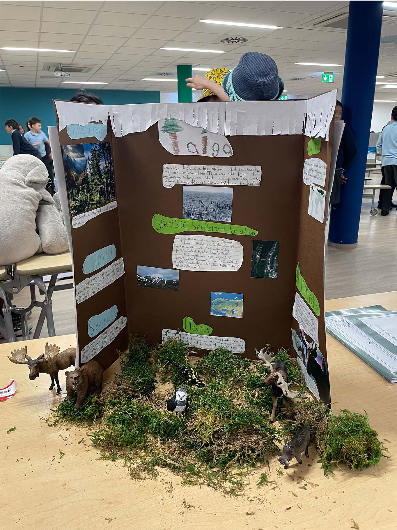 Year 6 Biomes Exhibition for Parents - Carousel For News Detail