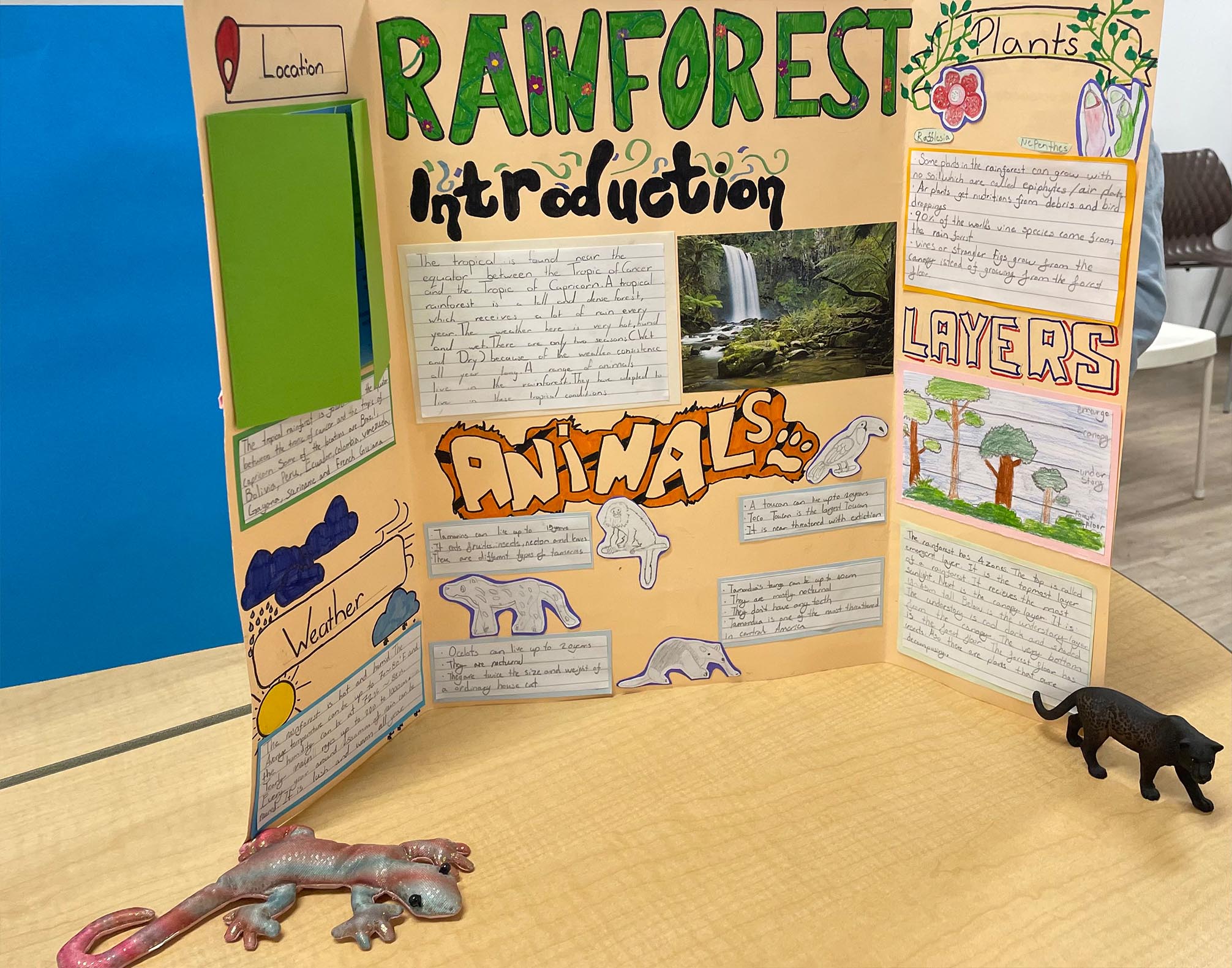 Year 6 Biomes Exhibition for Parents - Carousel For News Detail