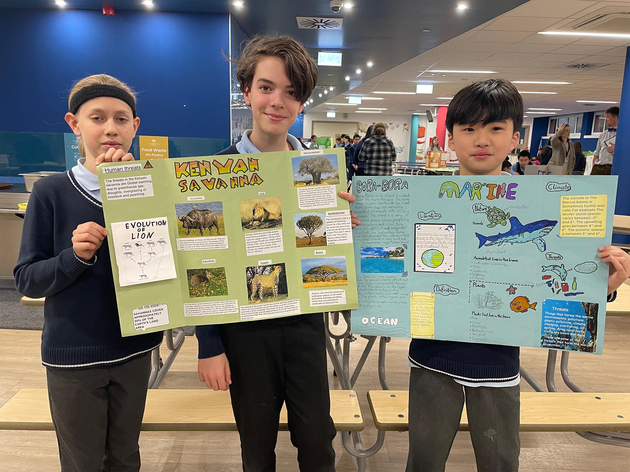 Year 6 Biomes Exhibition for Parents - Year 6 Biomes Exhibition for Parents