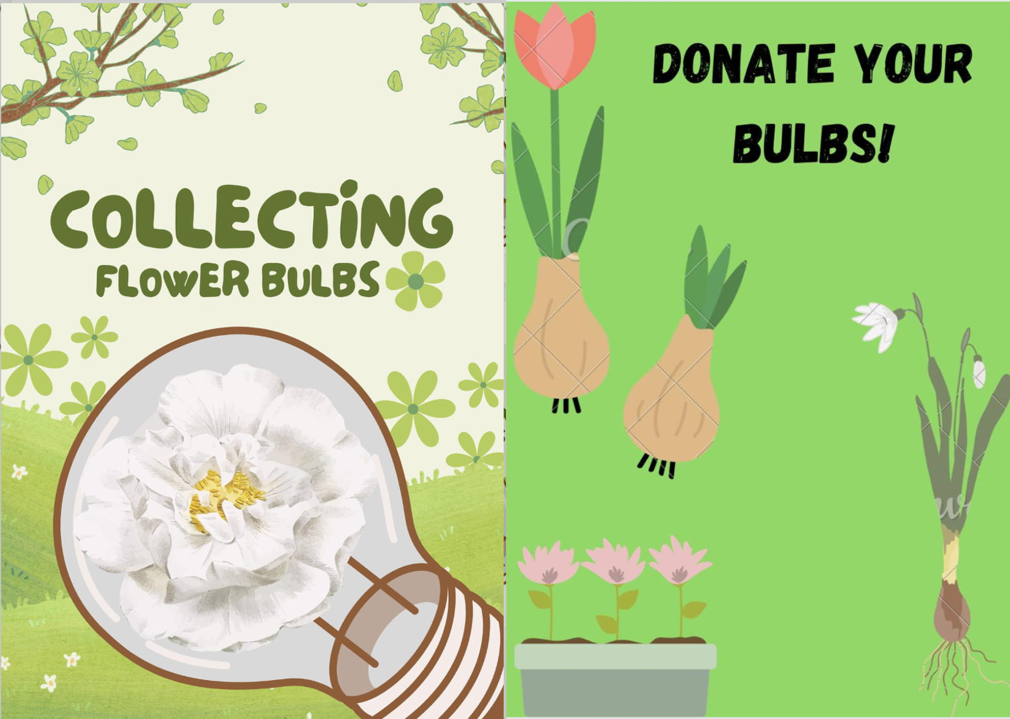 Blooming Together Senior Changemakers Spring into Action with Plant Bulb Donations - Blooming Together Senior Changemakers Spring into Action with Plant Bulb Donations