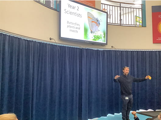 Year 2 Learning about Butterflies - Carousel For News Detail