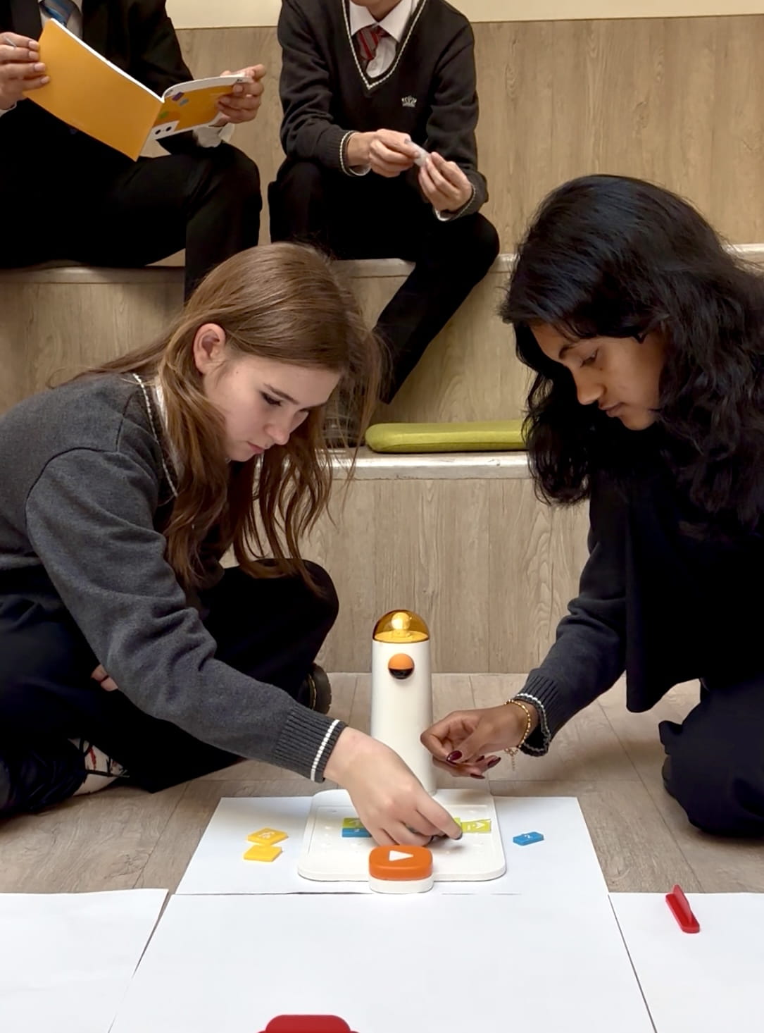 Robots, Logic, and Learning in Action - Year 11 Coding