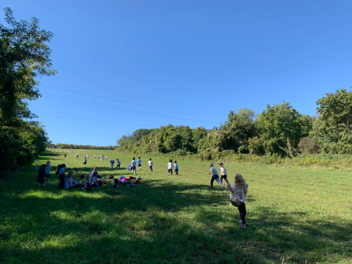 Year 2 Enjoys Apples, Animals, and Adventure - Carousel For News Detail