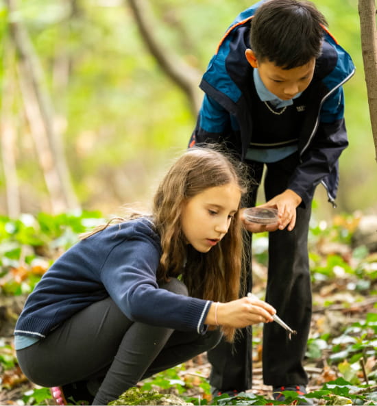 Why Primary School Matters: Building Strong Foundations at The British International School Budapest - Why Primary School Matters