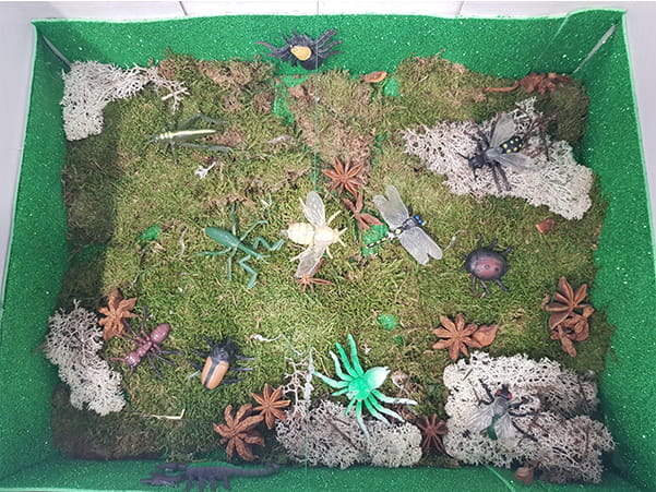 Animals Classification and Habitats - Carousel For News Detail