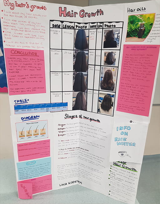 Research Projects - Carousel For News Detail