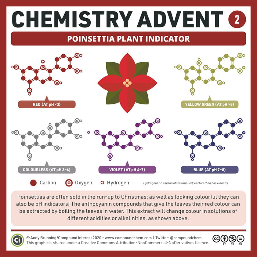 The Chemistry of Winter Festivals - Carousel For News Detail