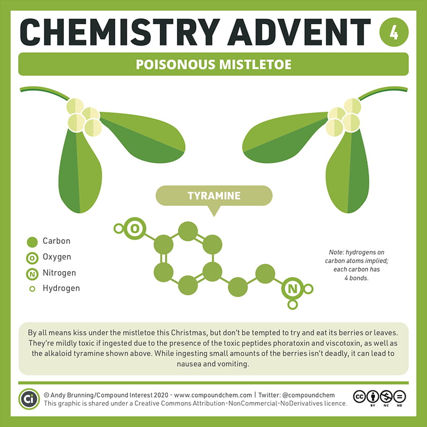 The Chemistry of Winter Festivals - Carousel For News Detail