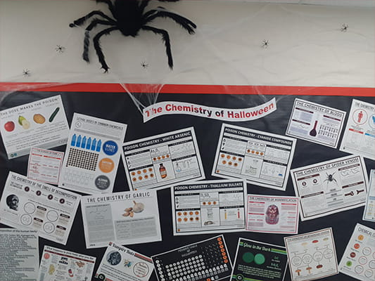 Halloween Fun - Carousel For News Detail