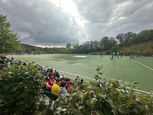 BISB Wolves at the DVAC festival - BISB Wolves at the DVAC festival